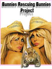 Barbi Twins - Bunnies Rescuing Bunnies profile picture