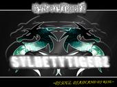 Bangla [STZ] SylhetyTigerZ- DjS profile picture