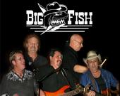 BIG FISH profile picture