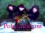 PoLyAnDrIuM profile picture