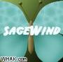 SageWind profile picture