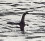 Loch Ness Monster Superstar profile picture