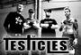 THE TESTICLES (booking in europe!) profile picture