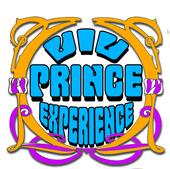 Viv Prince Experience profile picture