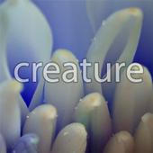 Creature profile picture