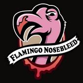 Flamingo Nosebleed profile picture