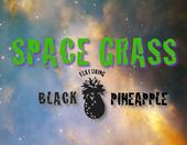 SPACE GRASS w/BLACK PINEAPPLE profile picture
