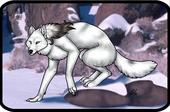 whitewolf profile picture