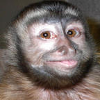 Monkey Butler profile picture