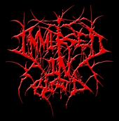 Immersed In Blood (searching for a drummer!) profile picture