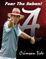 University of Alabama profile picture