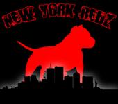 NY REDS profile picture