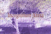 Incognitium Ataxa profile picture