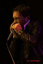 Tino Blues "Harmonica Player" profile picture