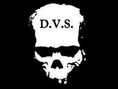 D.v.S profile picture