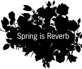 SPRING IS REVERB profile picture