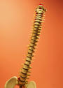 Chiropractic profile picture