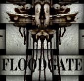 FLOODGATE_TWIST profile picture