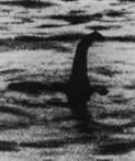 nessie profile picture