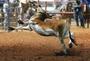 Rodeo~A legalized abuse of animals for cowards!! profile picture