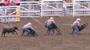 Rodeo~A legalized abuse of animals for cowards!! profile picture