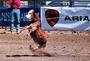 Rodeo~A legalized abuse of animals for cowards!! profile picture