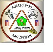 WING CHUN & KALI SYSTEMS INC. PUERTO RICO profile picture