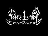 perinde-ac-cadaver profile picture