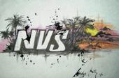 NVS Surfâ„¢ profile picture