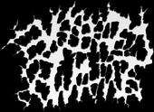 Eviscerated Remnants profile picture