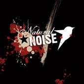 Natural Noise profile picture