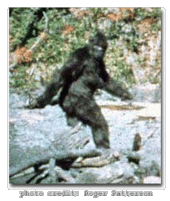 Bigfoot profile picture