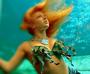 Mermaid Karri/ underwater model profile picture