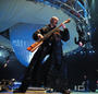 Tony Levin profile picture