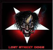 Lost Street Dogs profile picture