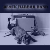 Black Harbor Band profile picture