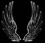 Dark Seraphim profile picture