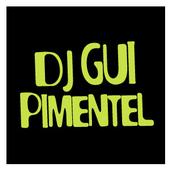 DJ GUI PIMENTEL profile picture