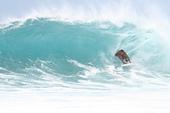 Hawaiian Amateur Surfers profile picture