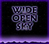 Wide Open Sky (DEMO TRACKS) profile picture