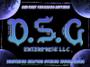 DSG ENTERPRISE LLC profile picture