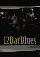 12barblues profile picture