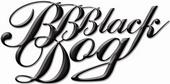 BB BlackDog Fans profile picture