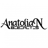 Anatolian Beats Recordings profile picture