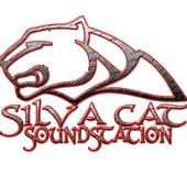 SILVA CAT SOUNDSTATION profile picture