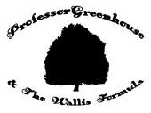 Professor Greenhouse & The Wallis Formula profile picture