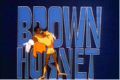 Da Brown Hornet! profile picture