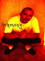 Harmony HiSee "on iTunes" profile picture