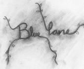 Blue lane profile picture