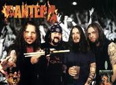 Pantera From Hell profile picture